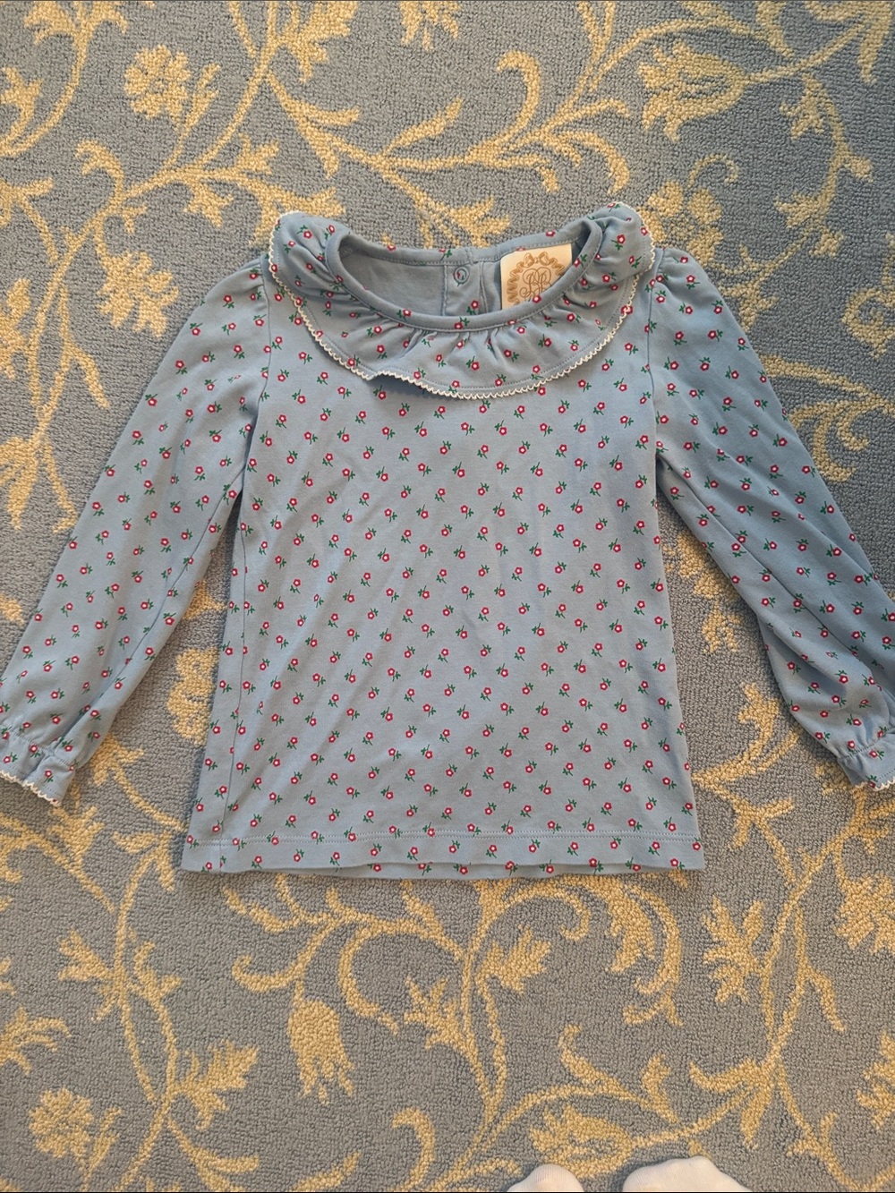 The Beaufort Bonnet Company Light Blue Floral Ruffle Collar Long-Sleeve Top